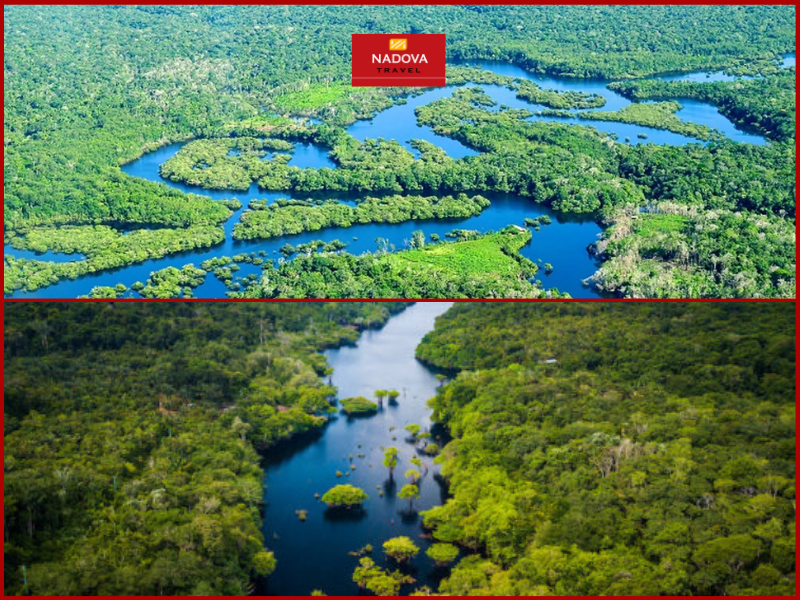 Đi thuyền xuyên rừng rậm Amazon – Trải nghiệm thiên nhiên nguyên sinh hoang sơ huyền bí