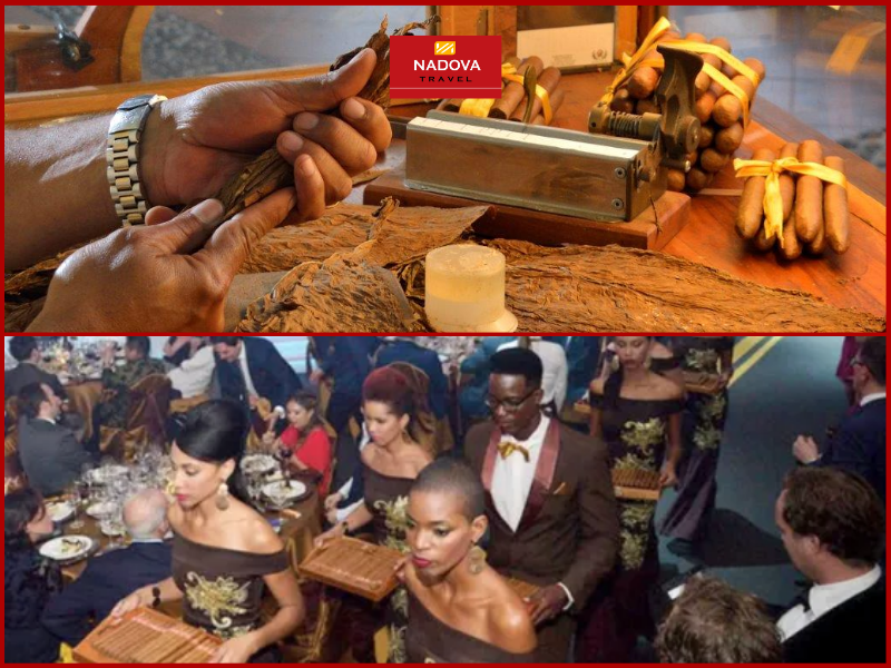 Lễ hội xì gà Habanos được tổ chức lần đầu vào cuối thập niên 1990 nhằm tôn vinh truyền thống trồng, cuốn và thưởng thức xì gà – biểu tượng văn hóa lâu đời của Cuba.