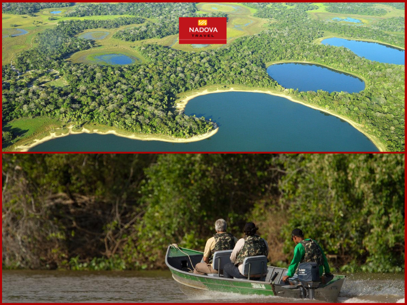 Pantanal - Khu bảo tồn thiên nhiên với đa dạng sinh học, là khu vực tự nhiên chứa vùng đất ngập nước nhiệt đới lớn nhất thế giới.