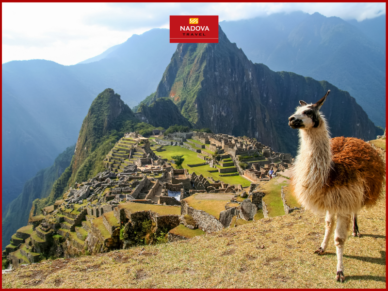 Hãy cùng Nadova Travel khám phá những địa điểm mà bạn nhất định không thể bỏ lỡ trong chuyến du lịch Peru!