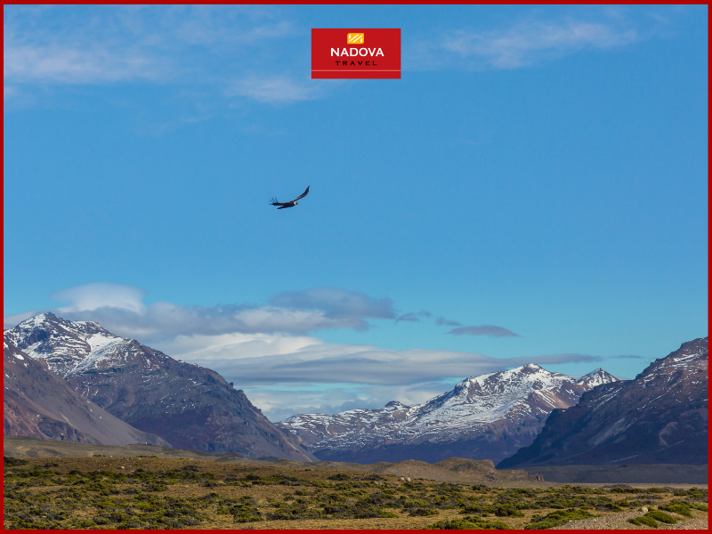 Hãy cùng Nadova Travel bước vào chuyến du lịch Argentina, để thấy mình thật nhỏ bé trước vẻ đẹp kiêu hãnh của Patagonia.