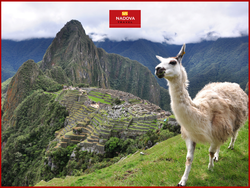 Cùng Nadova Travel khám phá Machu Picchu huyền bí trong tour du lịch Peru!