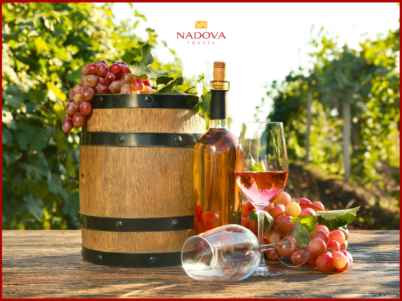 Trải nghiệm độc bản tại Mendoza cùng Nadova Travel
