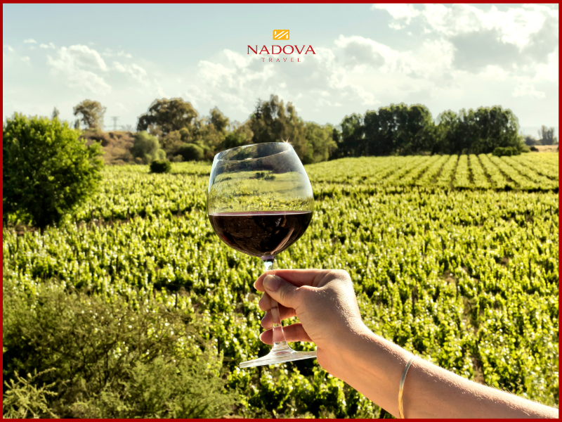Hành trình du lịch Argentina cùng Nadova Travel sẽ đưa bạn đến với những trải nghiệm trọn vẹn nhất, nơi mỗi khoảnh khắc tại Mendoza đều lắng đọng thành một kỷ niệm vô giá. 