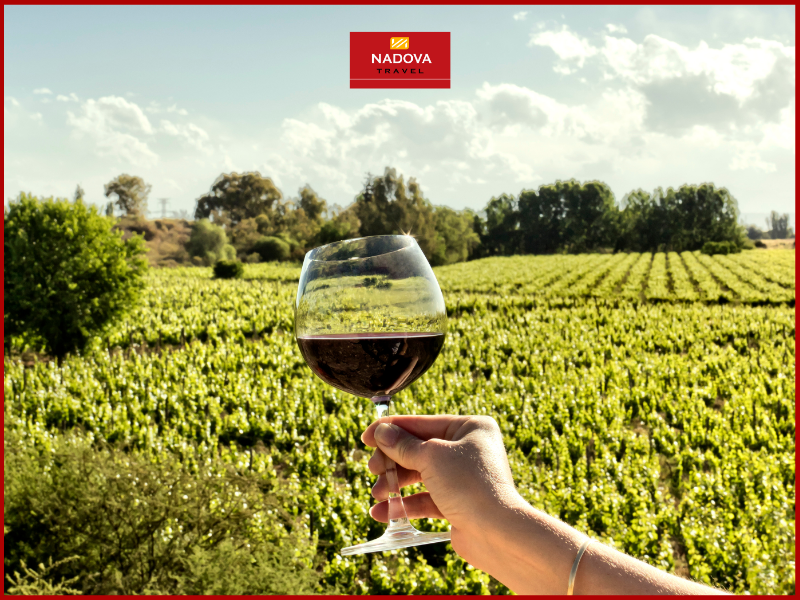 Mendoza: Thánh đường rượu vang