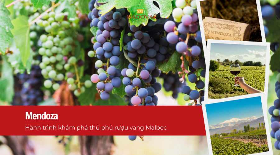 Du lịch Argentina: Mendoza – Hành trình khám phá thủ phủ rượu vang Malbec | Nadova Travel