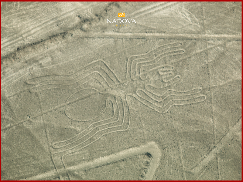 Cùng Nadova Travel khám phá sa mạc Nazca huyền bí. Liên hệ ngay hôm nay!