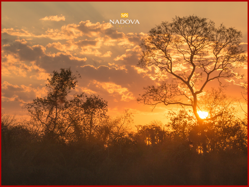 Bầu trời Pantanal chuyển sang màu cam rực rỡ của hoàng hôn.