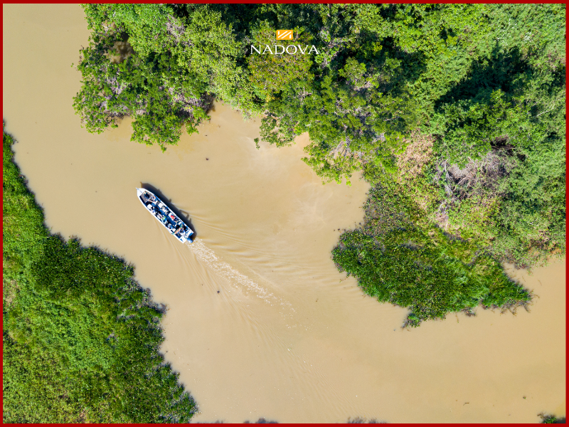 Những lưu ý thực tế khi du lịch Pantanal