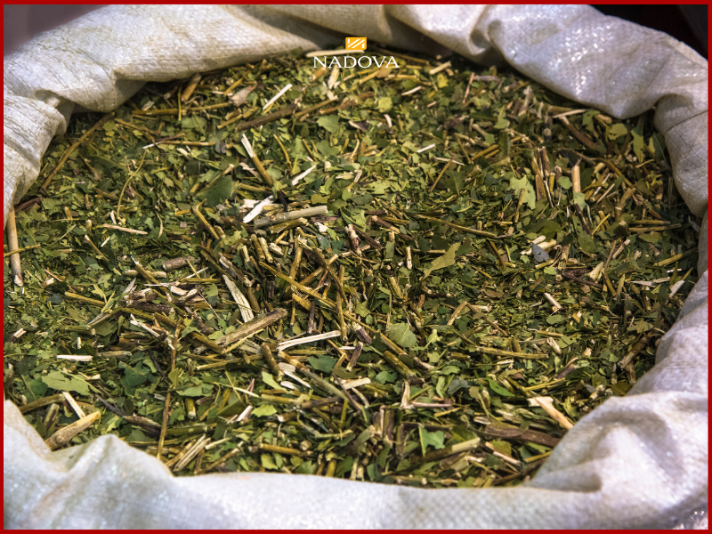 Người ta ví Mate có "sức mạnh của cà phê, lợi ích sức khỏe của trà và niềm hân hoan của socola".