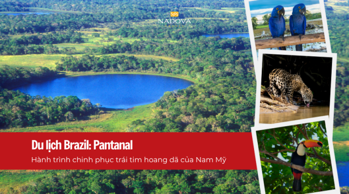 Du lịch Brazil: Pantanal – Hành trình chinh phục trái tim hoang dã của Nam Mỹ