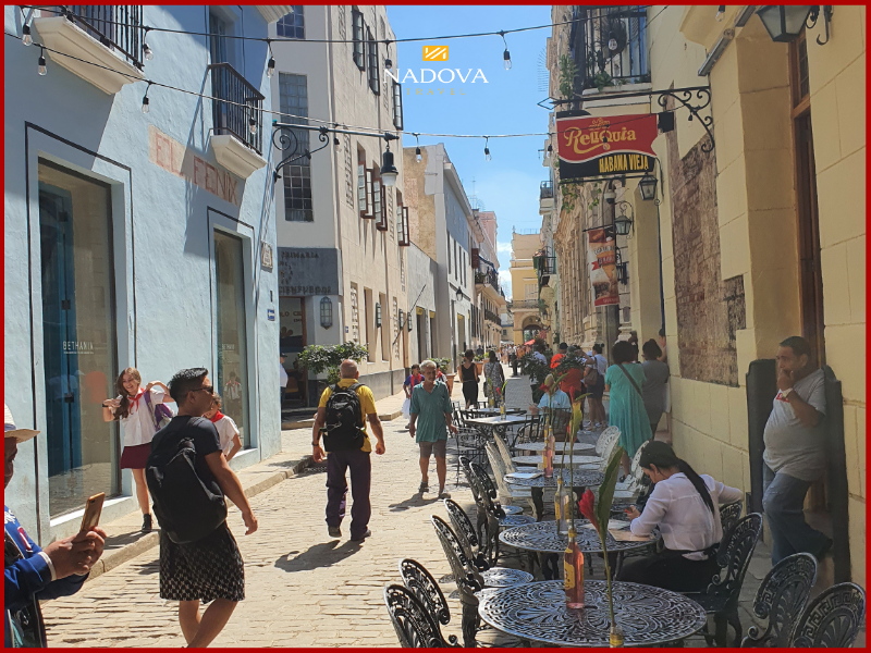 Liên hệ với Nadova Travel để được các chuyên gia Cuba đồng hành và thiết kế hành trình phù hợp nhất cho bạn.
