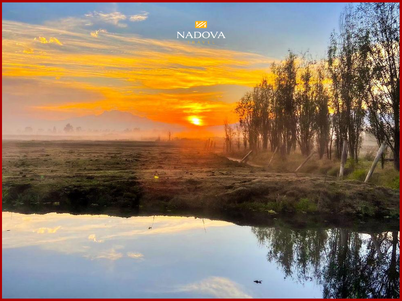 Xochimilco dưới hoàng hôn: Khi cả kênh đào nhuộm màu điện ảnh