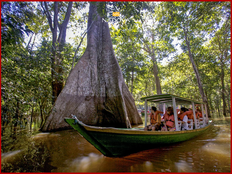du lịch Brazil